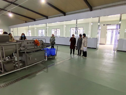 生命科學系參加2023山西省設施蔬菜機械化生產現場觀摩會